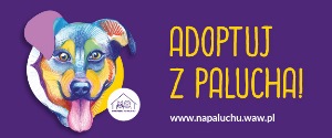 Adoptuj z Palucha