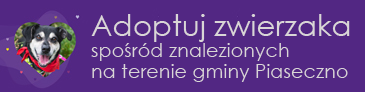 Adoptuj zwierzaka spośród znalezionych na terenie gminy Piaseczno
